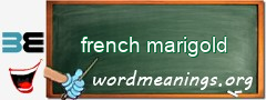 WordMeaning blackboard for french marigold